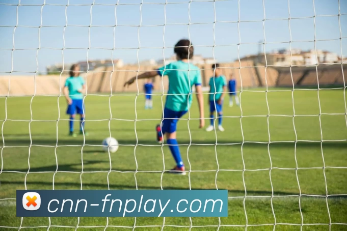 蜂鸟电竞平台服务体系